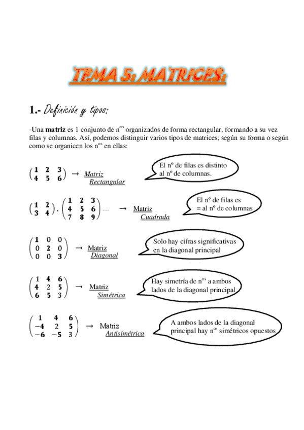 Miniatura del documento TEMA 5.Matrices.pdf