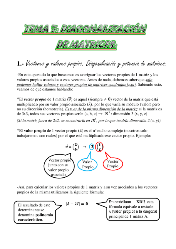 Miniatura del documento TEMA 7.Diagonalización de Matrices.pdf