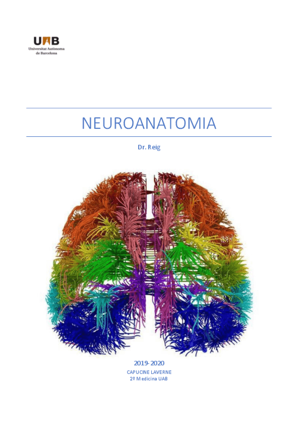 Miniatura del documento Neuroanatomia.pdf