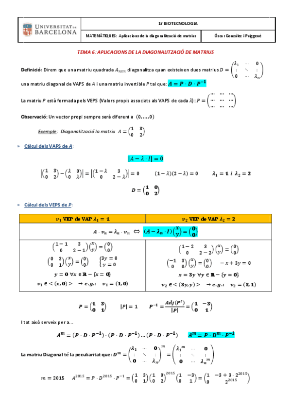 Miniatura del documento TEMA 6. APLICACIONS DE LA DIAGONALITZACIÓ DE MATRIUS.pdf