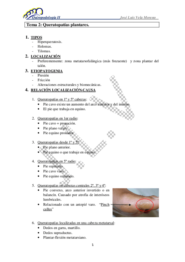 Miniatura del documento TEMA-2-Queratopatias-plantares-bien-copia.pdf