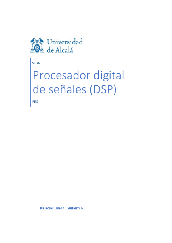 Miniatura del documento SEDA-DSP.pdf