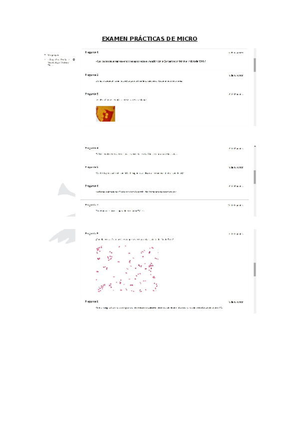 Miniatura del documento EXAMEN-PRACTICAS-DE-MICRO.doc