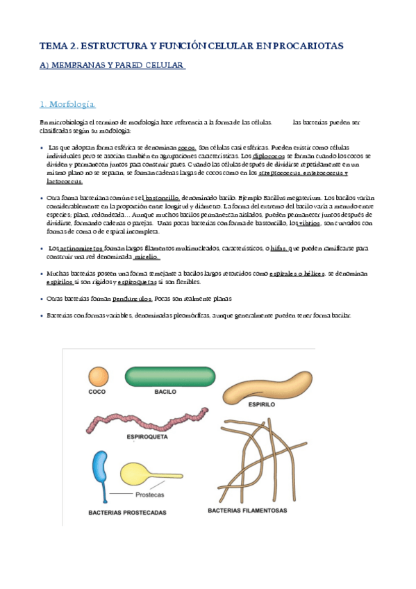 Miniatura del documento tema-2-.pdf
