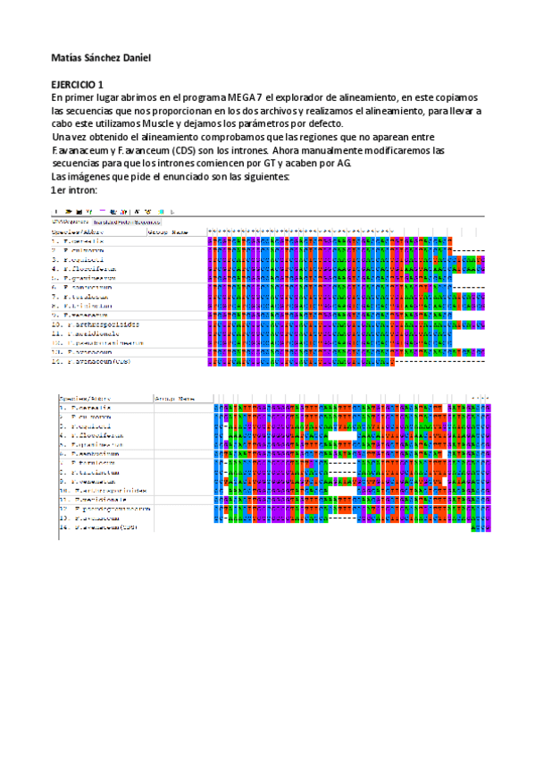 Miniatura del documento Matias-Daniel.pdf