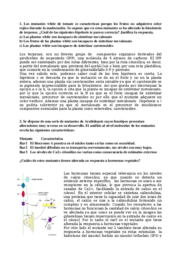 Miniatura del documento Cuestiones-resueltas-BiomolP.doc