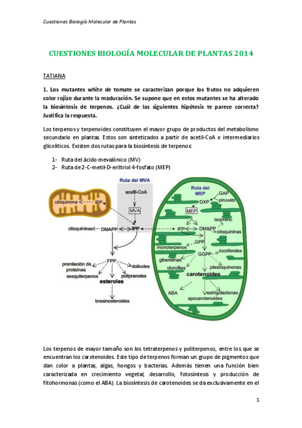 Miniatura del documento TEMARIO.pdf