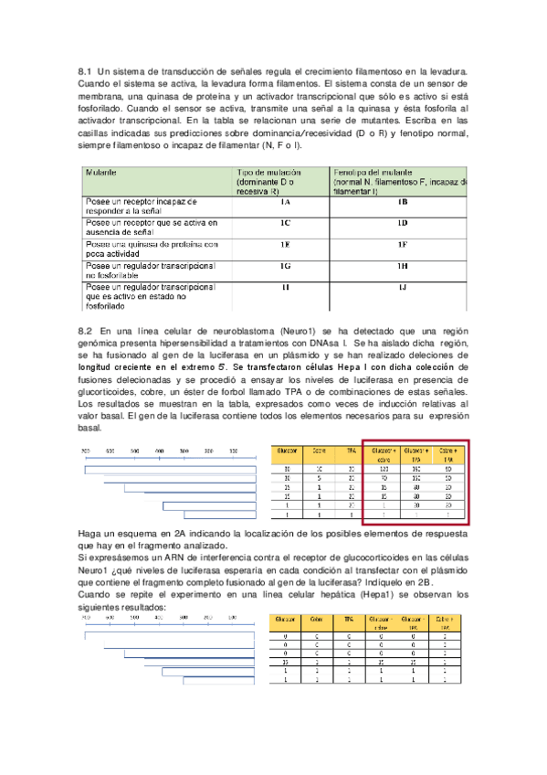 Miniatura del documento Serie-P8-2018-19-RESUELTA.pdf