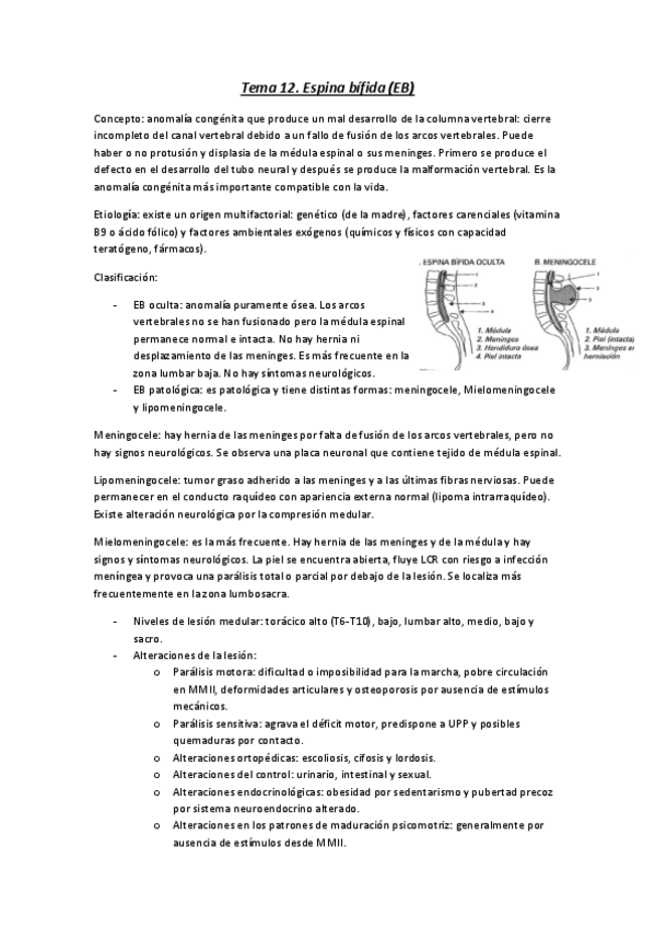 Miniatura del documento Tema-12.pdf