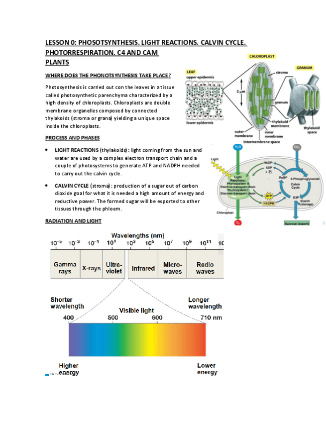 Miniatura del documento LESSON-0.pdf