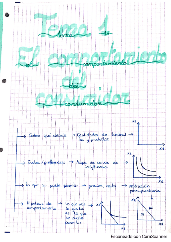 Miniatura del documento Tema-1.pdf