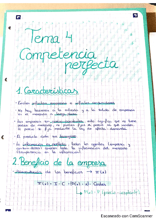 Miniatura del documento Tema-4.pdf