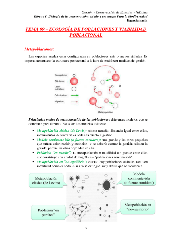 Miniatura del documento TEMA 09 w.pdf
