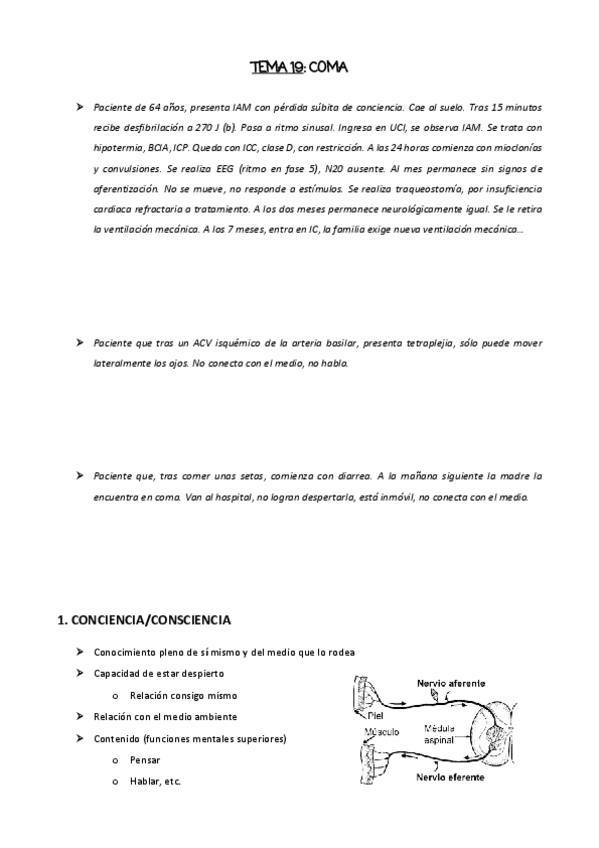 Miniatura del documento TEMA-19.pdf