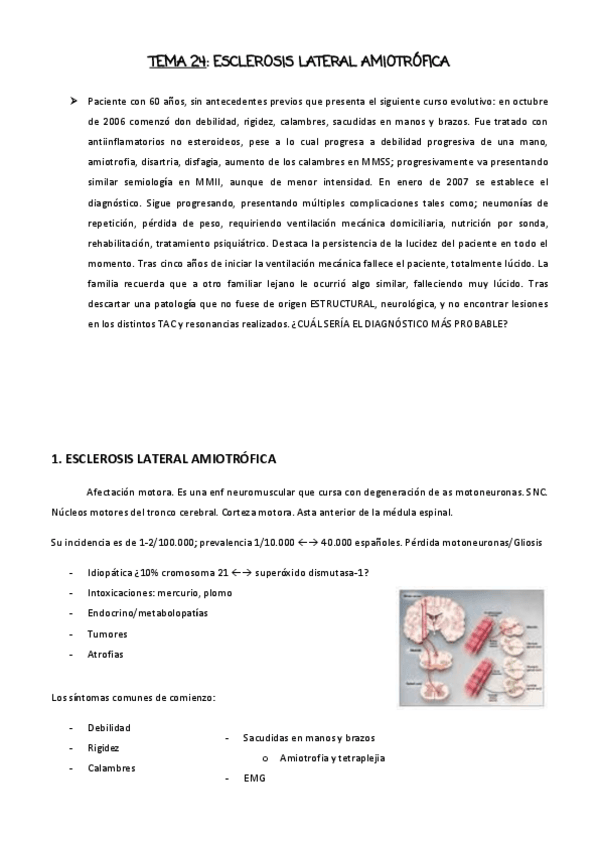 Miniatura del documento TEMA-24.pdf