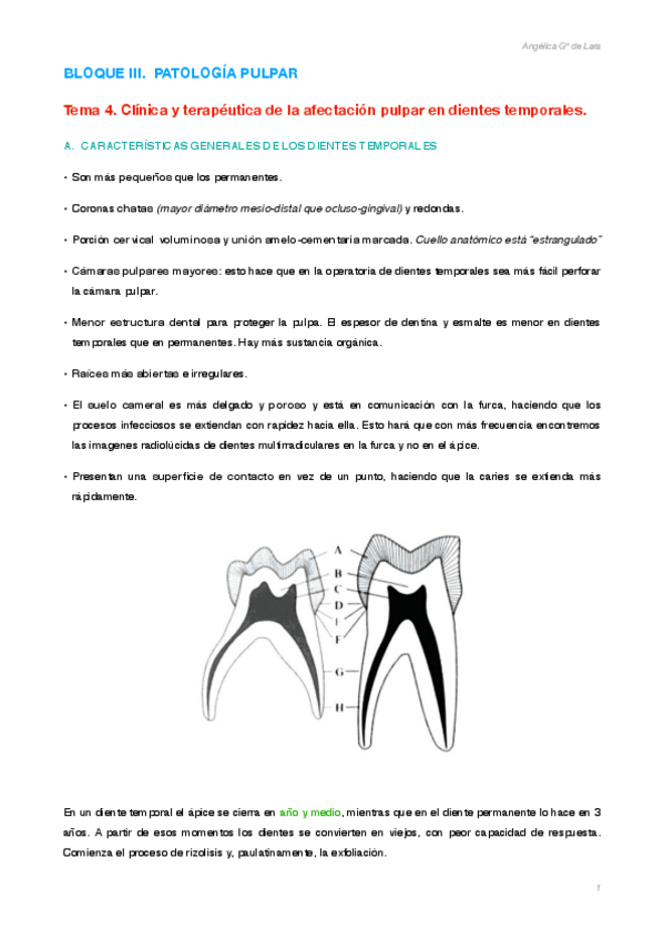 Miniatura del documento Tema-4.pdf