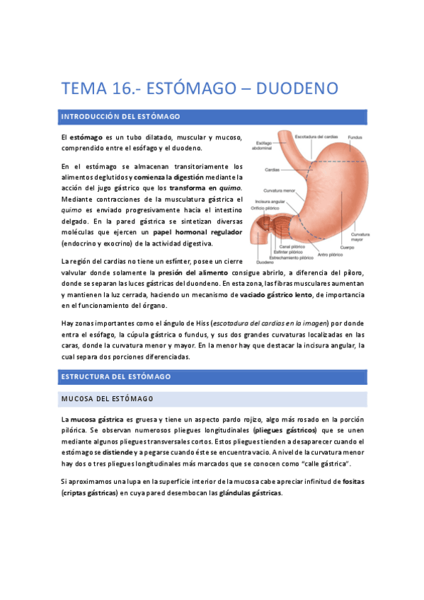 Miniatura del documento TEMA-16.pdf