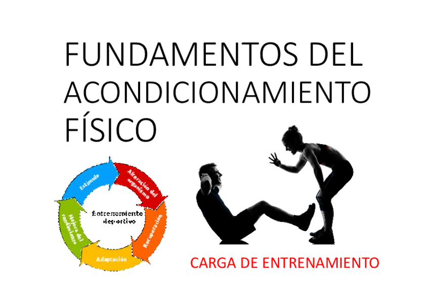 Miniatura del documento FUN-27-carga.pdf