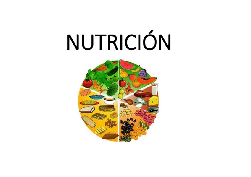 Miniatura del documento FUN-32-nutricion.pdf