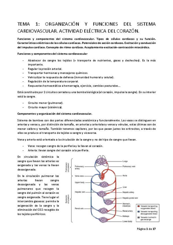 Miniatura del documento FISIOII-T1.pdf