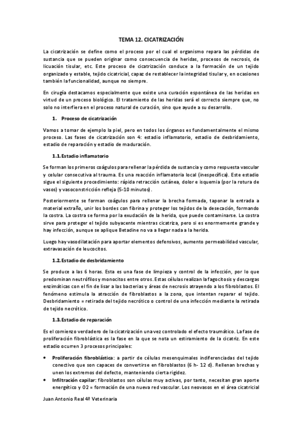 Miniatura del documento Tema-12.pdf