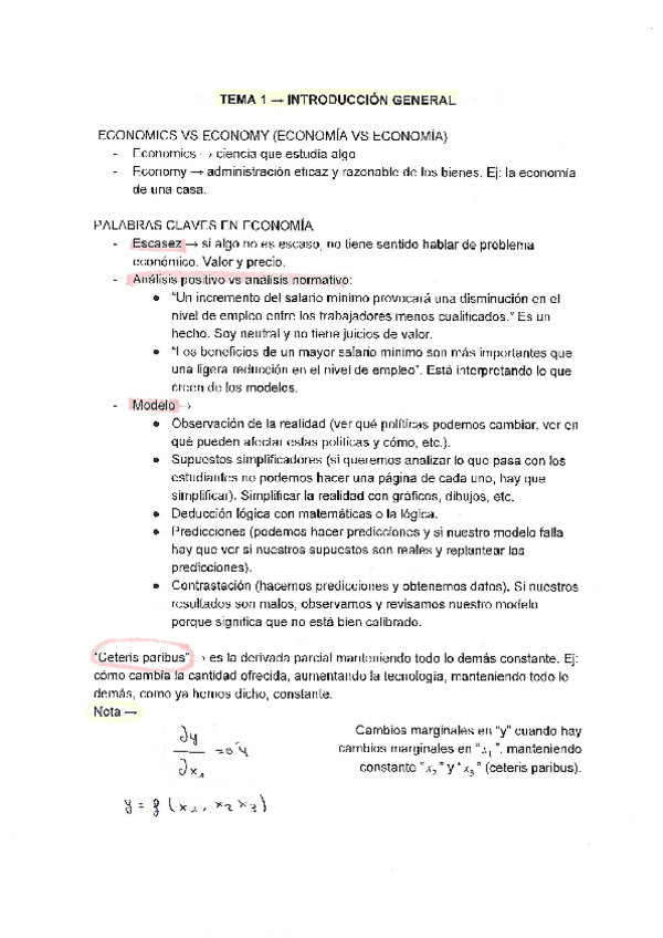 Miniatura del documento TEMA-1-INTRODUCCION-GENERAL.pdf