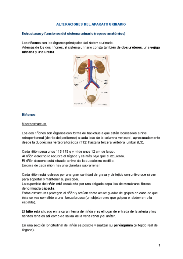 Miniatura del documento 6.pdf
