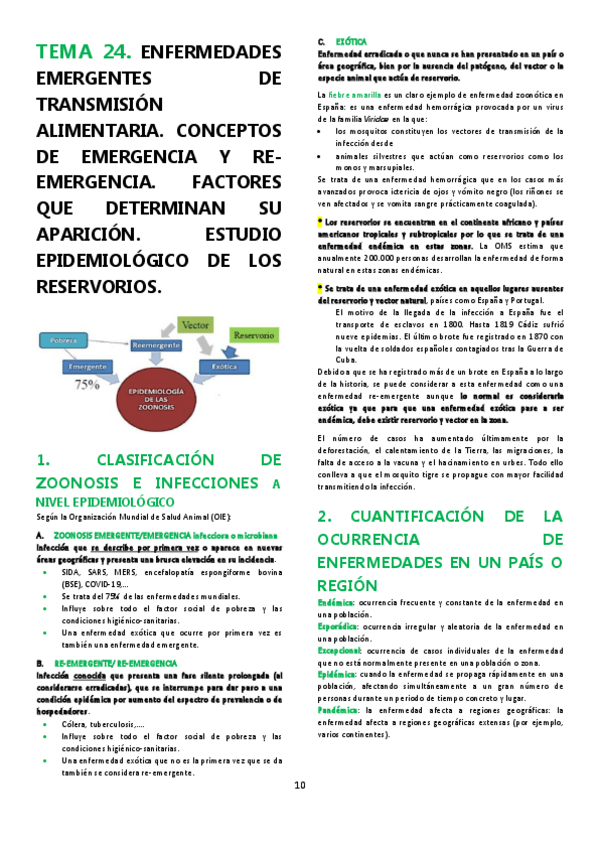 Miniatura del documento TEMA-24.pdf