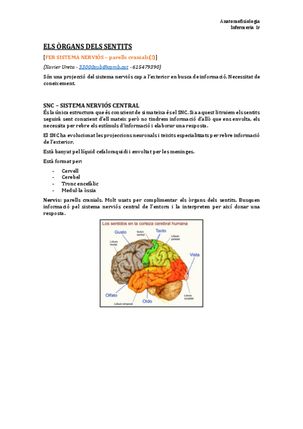 Miniatura del documento TEMA 9. Organs dels sentits.pdf