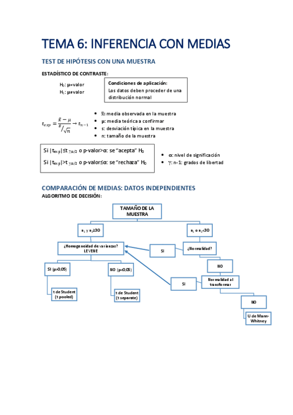 Miniatura del documento TEMA-6.pdf
