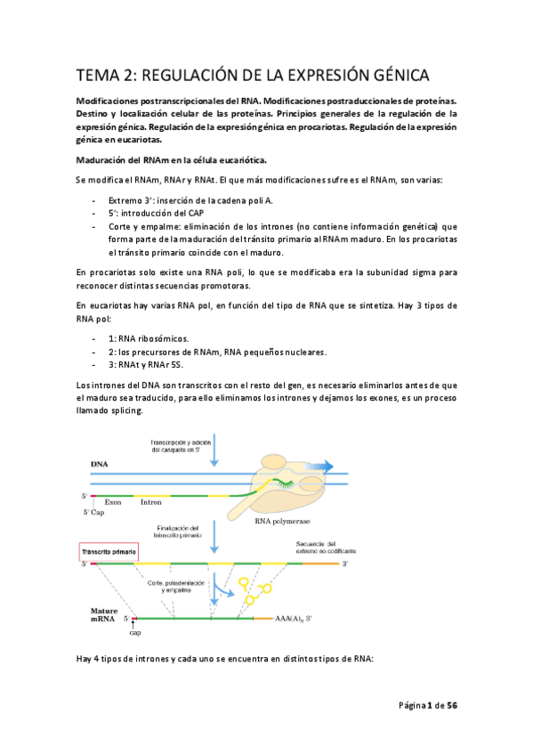 Miniatura del documento BIOQ-II-T2.pdf