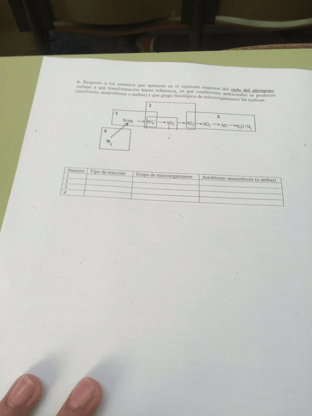 Miniatura del documento examen-3.jpg