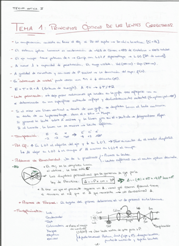 Miniatura del documento Temario Completo Ordenado.pdf