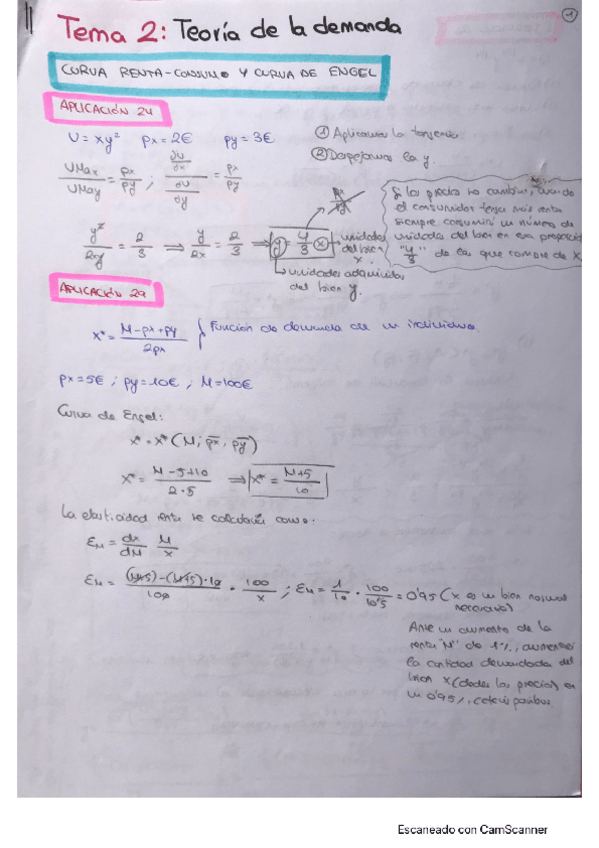 Miniatura del documento TEMA-2.pdf
