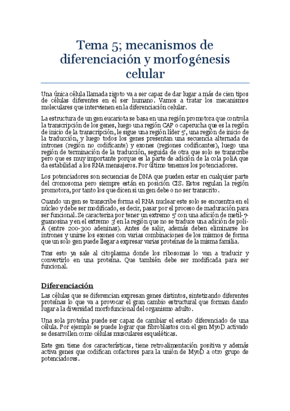 Miniatura del documento Tema 5.pdf