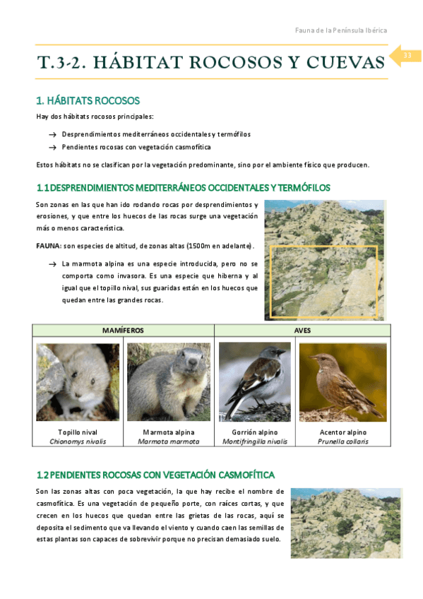 Miniatura del documento T.pdf