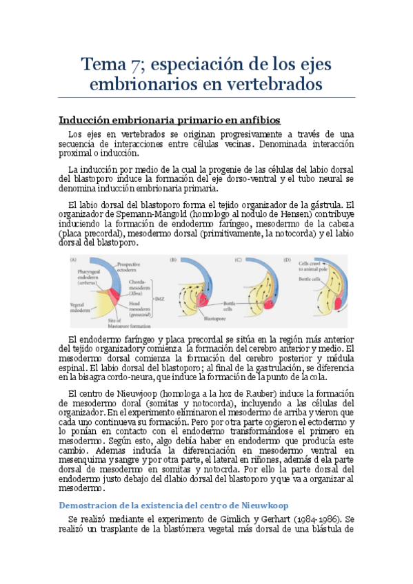 Miniatura del documento bdd Tema 7.pdf