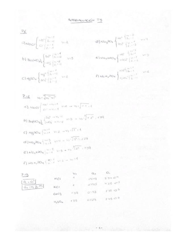 Miniatura del documento Autoevaluacion-y-problemas-T5-FQ.pdf