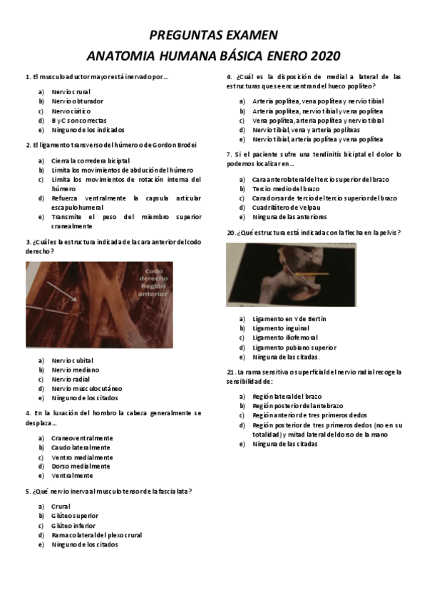 Miniatura del documento PREGUNTAS-EXAMEN-ANATOMIA-BASICA-ENERO-2020-SIN-RESPUESTAS-.pdf