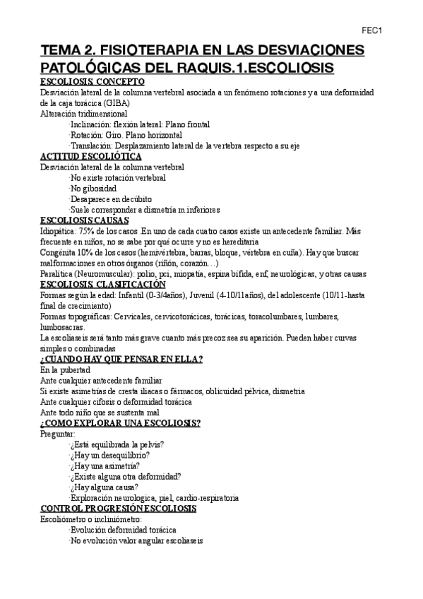 Miniatura del documento FEC1.pdf