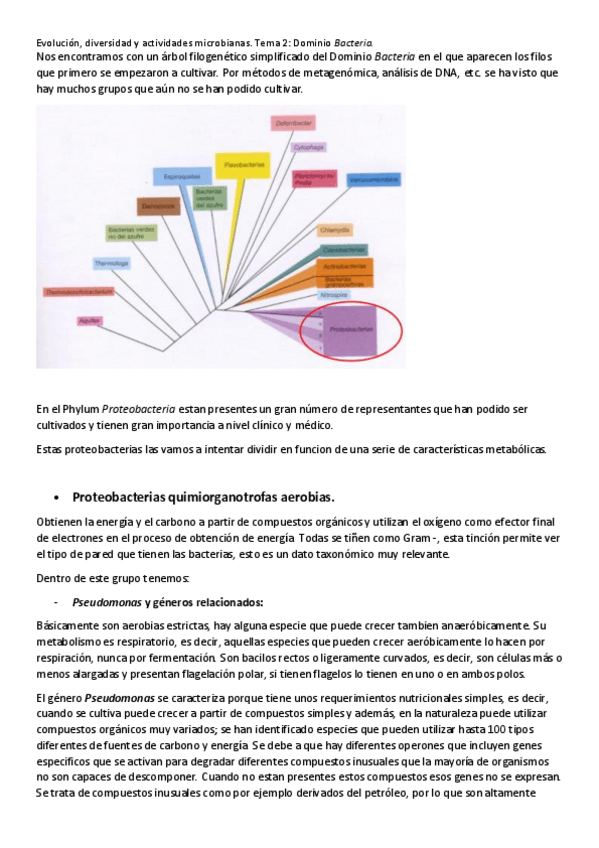 Miniatura del documento TEMA-2.pdf