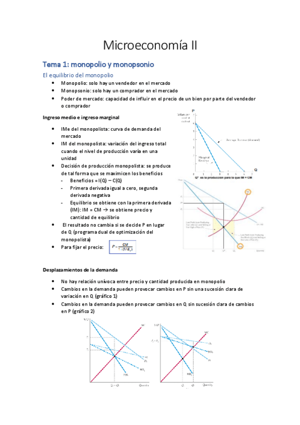 Miniatura del documento apuntes-micro-II.pdf