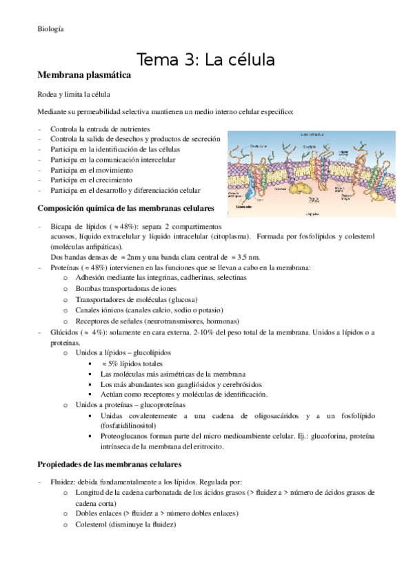 Miniatura del documento Tema-3-Celula-eucariota.docx