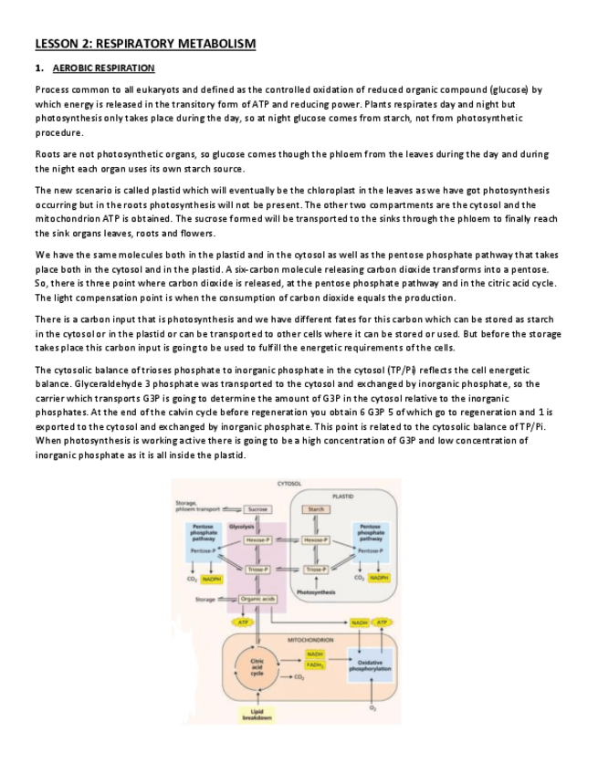 Miniatura del documento LESSON-2.pdf