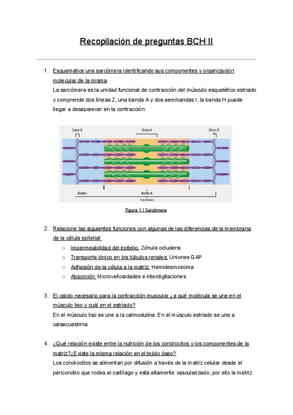 Miniatura del documento Recopilación de preguntas BCH II.pdf