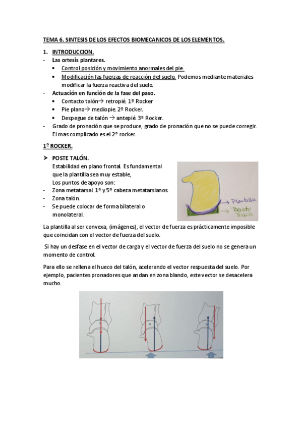 Miniatura del documento TEMA-6.pdf