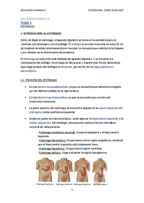 Miniatura del documento TEMA 2 - ESTÓMAGO.pdf