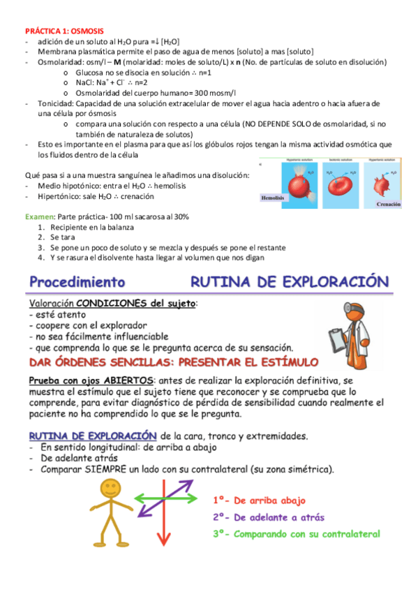 Miniatura del documento PRACTICAS.pdf