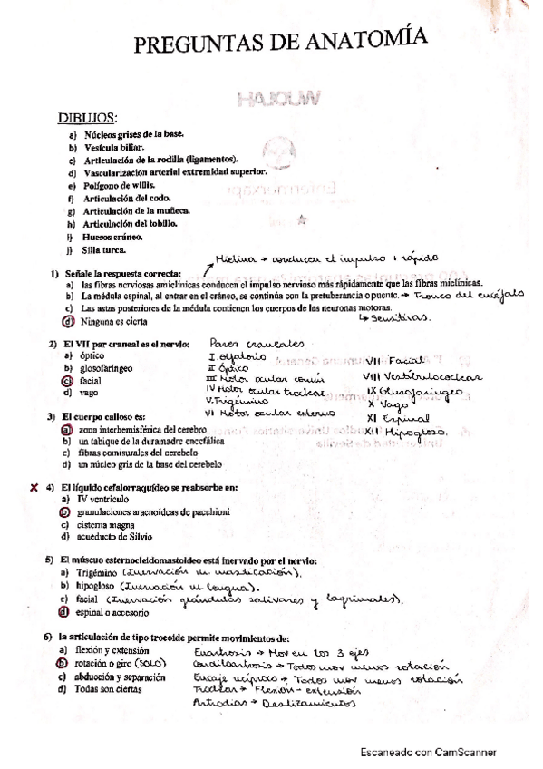 Miniatura del documento 400-preguntas-anatomia-resueltas-.pdf