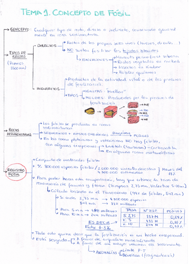 Miniatura del documento Resumenes-paleontologia.pdf